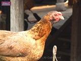3_DSCF0181