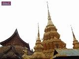 3_DSCF0185