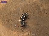 3_DSCF0259