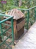 3_DSCF0266