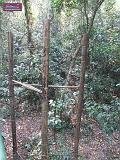3_DSCF0269