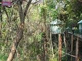 3_DSCF0272