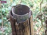 3_DSCF0273