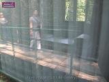 3_DSCF0275
