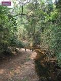 3_DSCF0295