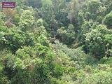 4_DSCF0004