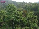 4_DSCF0005