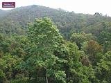 4_DSCF0006