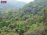 4_DSCF0011