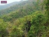 4_DSCF0035