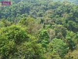 4_DSCF0038