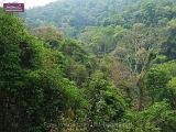 4_DSCF0039