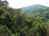 4_DSCF0042