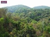 4_DSCF0043