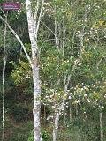4_DSCF0060