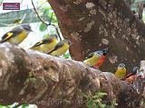 4_DSCF0071