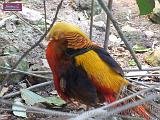 4_DSCF0076
