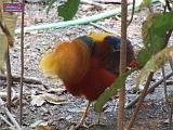 4_DSCF0078
