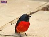 4_DSCF0081