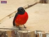 4_DSCF0082