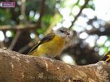 4_DSCF0085
