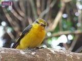 4_DSCF0086