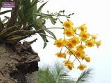 5_DSCF0018