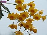 5_DSCF0019