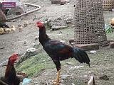 5_DSCF0021