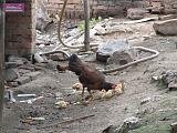 5_DSCF0022