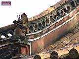 5_DSCF0078