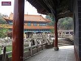5_DSCF0091