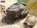 5_DSCF0094