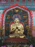 5_DSCF0102
