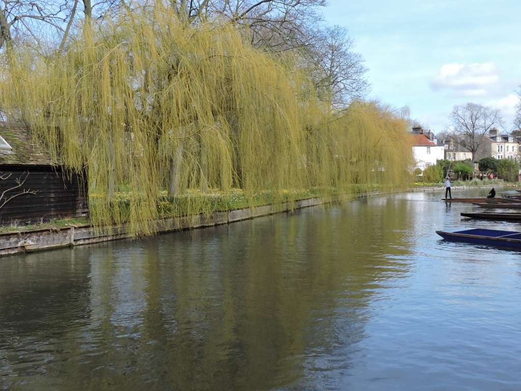 201803sf-Cambridge-UK_DSCN0356.JPG