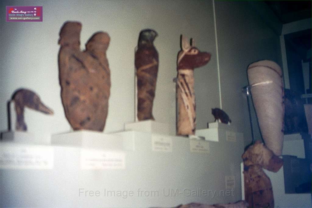 94eruopeC32.jpg