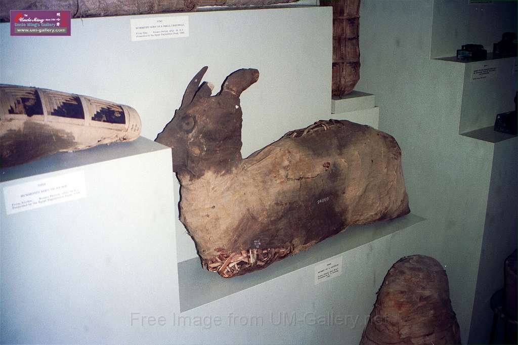 94eruopeC33.jpg