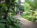 DSCN2407