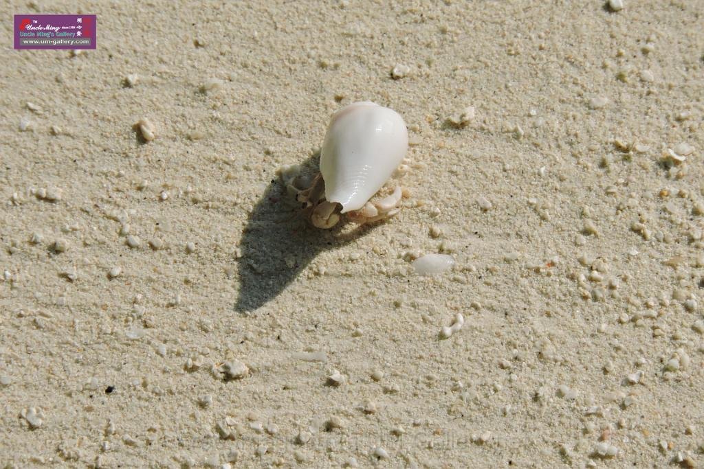 20150224sf-Maldives_DSCN1286.JPG
