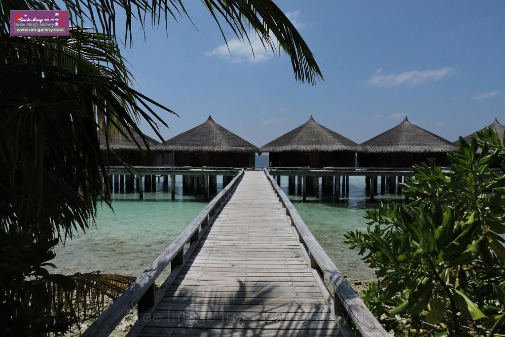 20150224sf-Maldives_DSCN1299.JPG