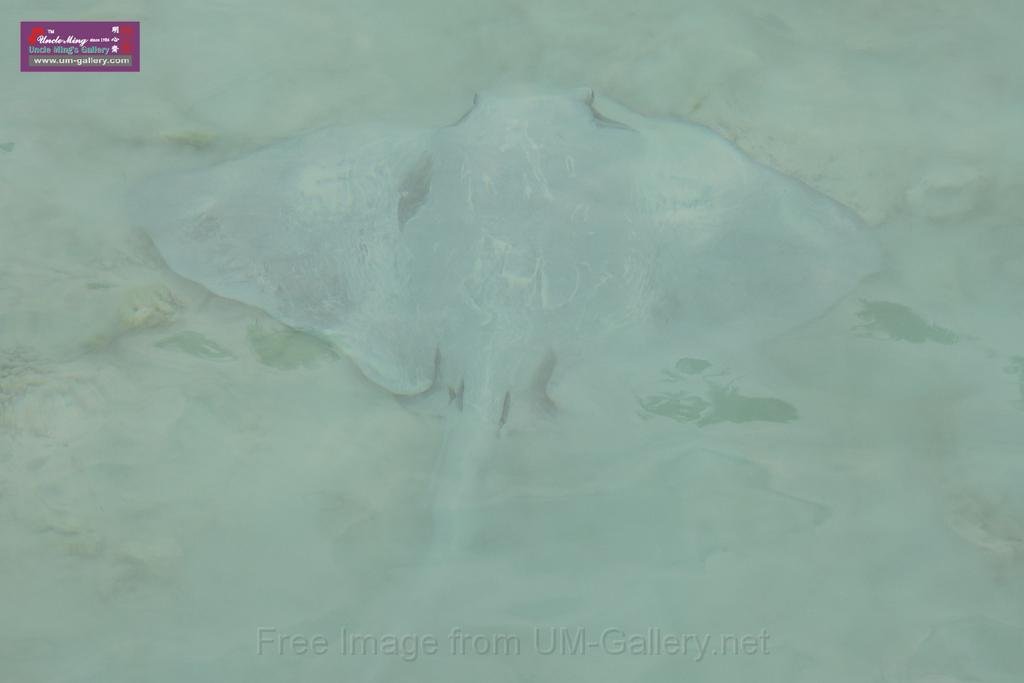 20150224sf-Maldives_DSCN1436.JPG