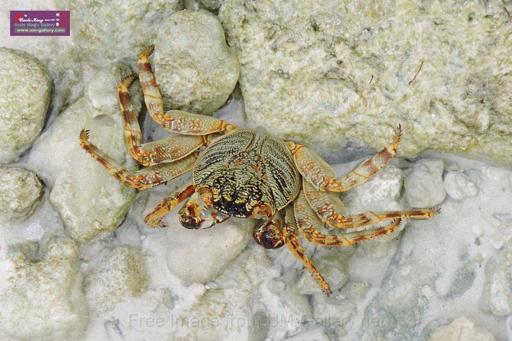 20150224sf-Maldives_DSCN1440.JPG