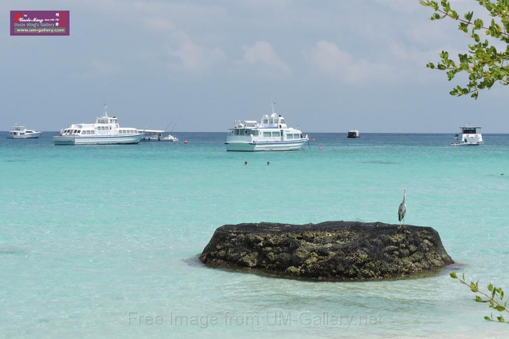 20150224sf-Maldives_DSCN1458.JPG