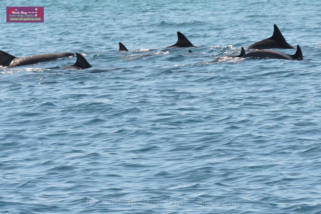 20150224sf-Maldives_DSCN1659.JPG