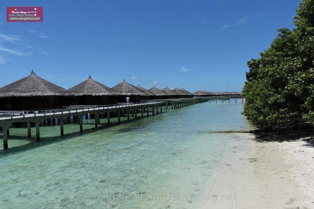 20150224sf-Maldives_DSCN1866.JPG