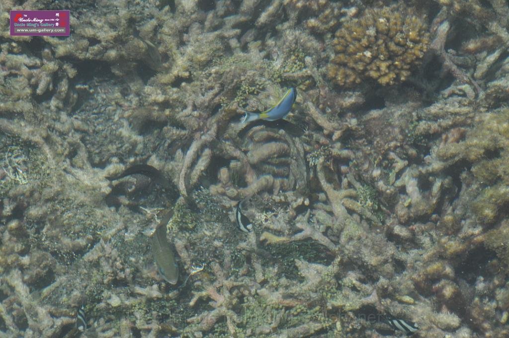 20150224sf-Maldives_DSC_0028.JPG