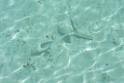 20150224sf-Maldives_DSCN1723