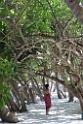20150224sf-Maldives_DSCN1798