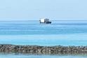 20150224sf-Maldives_DSCN1930