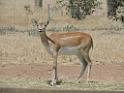 201810sf-adelaide-kangaroo-island-DSCN3421
